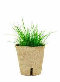 BIODEGRADABLE PLANT POTS - 8 CM PLANT POTS
