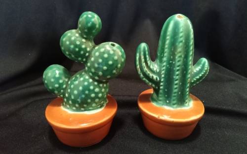 Cactus Salt and Pepper set 2