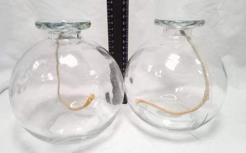 Two large glass oil burners