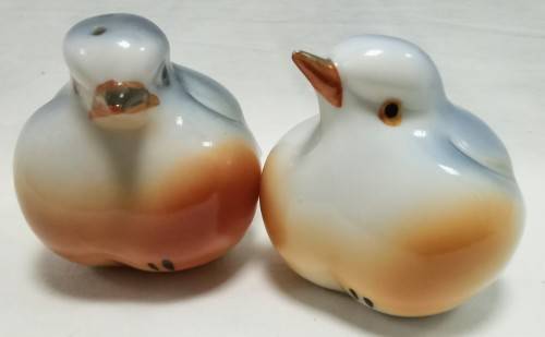Exquisitely beautiful Vintage Robin salt and pepper set