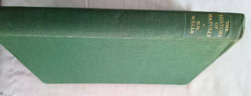 The history of Mr Polly/Frank Wells