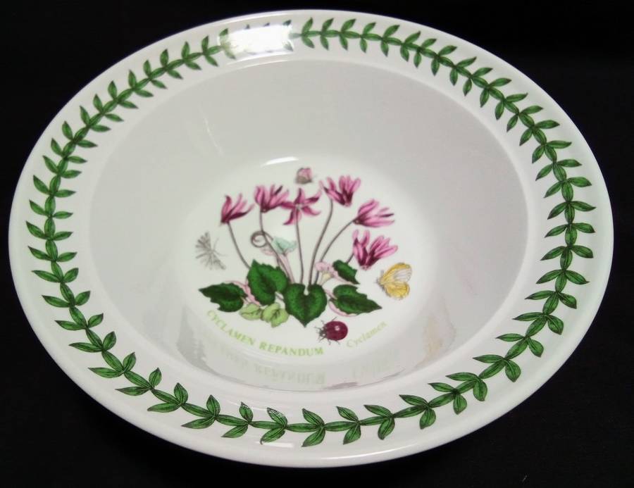 Six Stunning Portmeirion Botanic Garden dessert bowls