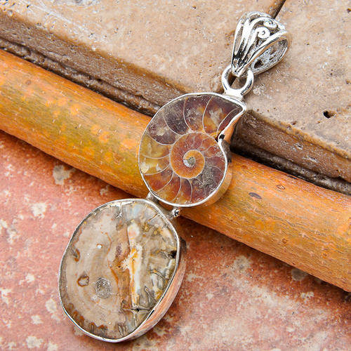 UNIQUE, ULTRA RARE Petrified wood and Ammonite Fossil Pendant!!!!