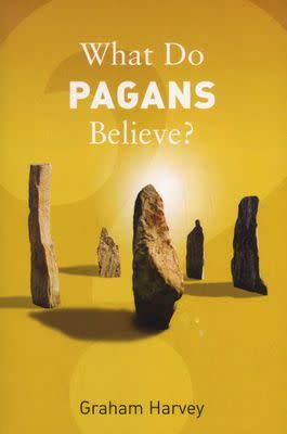 What Do Pagans Believe? (Paperback)