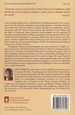 Psychonavigation: Techniques for Travel Beyond Time Paperback