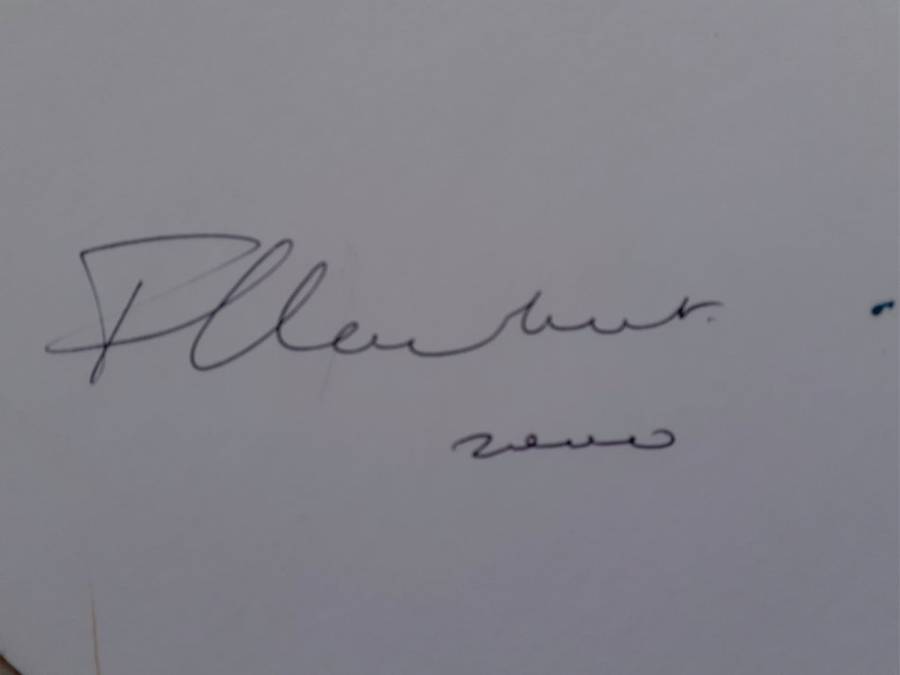Frans Claerhout - DONKEY - HUGE!!!! Great Investment Art!!!! Signed on back and comes with COA.