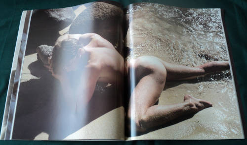 Ken Haak - Sleeping Beauties (book)