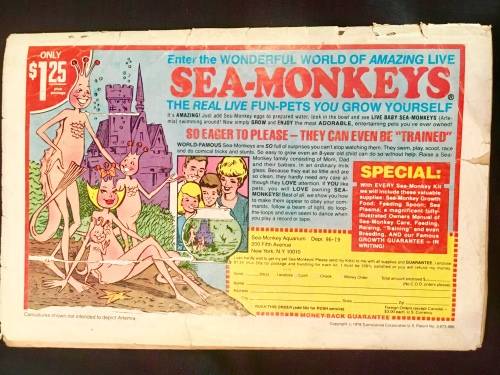 FLASH GORDON NO 26 1979( GOLD KEY)FAIR