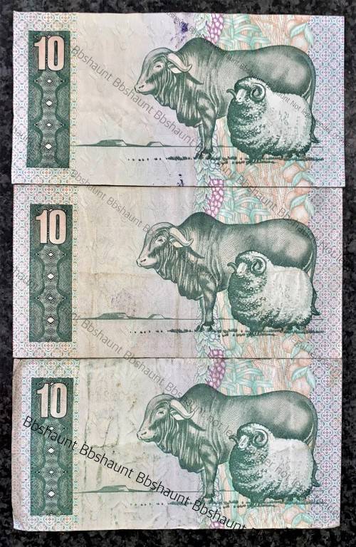 REPLACEMENT NOTES TW DE JONGH  R10--Y1, Y2 & Y3 -- 4TH ISSUE 1978 (1 BID TAKES ALL)