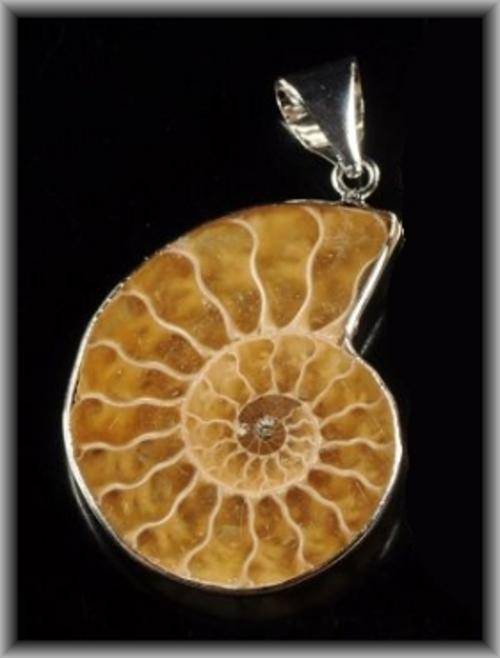 *R1* - NATURAL AMMONITE FOSSIL PENDANT
