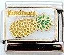 Italian Charms - Fits All 9mm Modular Bracelets - Enamel -  FRUITS OF THE SPIRIT - KINDNESS (Z)