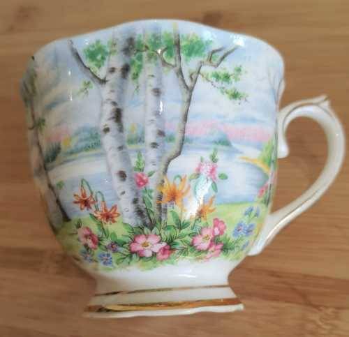 Royal Albert Silver Birch Duo - c.30-60s - Discontinued -VGC