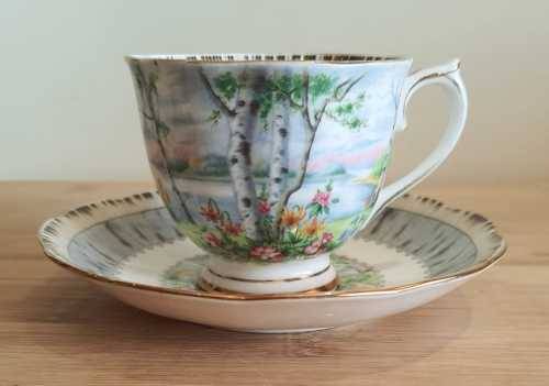 Royal Albert Silver Birch Duo - c.30-60s - Discontinued -VGC