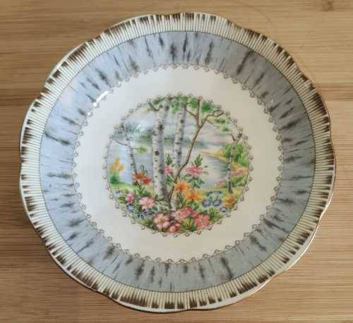 Royal Albert Silver Birch Duo - c.30-60s - Discontinued -VGC