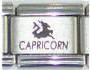 Italian Charms - Fits Nomination - Laser - Zodiac - CAPRICORN