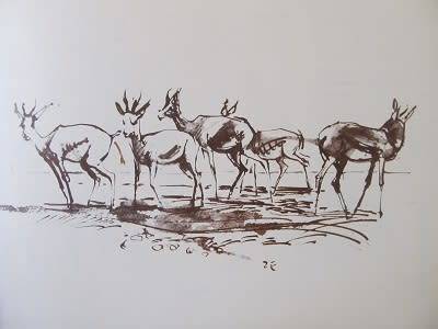 SWA  - Tourist Guide - sketse van Zakkie Eloff