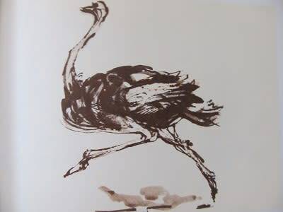 SWA  - Tourist Guide - sketse van Zakkie Eloff