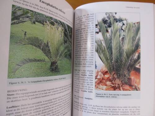 Broodbome -  Nat Grobbelaar - Geteken deur Grobbelaar - postage included