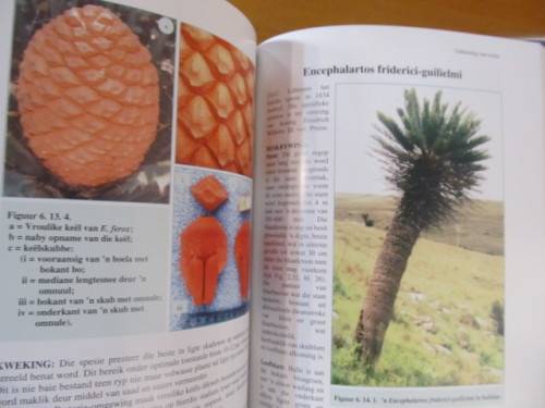 Broodbome -  Nat Grobbelaar - Geteken deur Grobbelaar - postage included