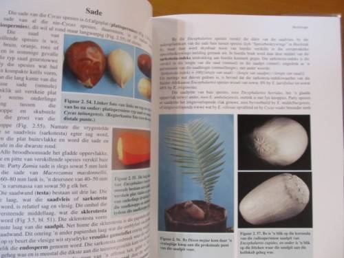 Broodbome -  Nat Grobbelaar - Geteken deur Grobbelaar - postage included