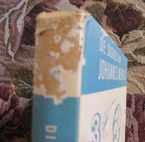 Johannes Meintjes -  Die Dagboek van Johannes Meintjes  1 - 3