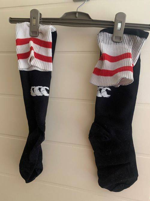 Lions Rugby Socks