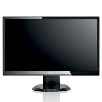 20 inch WideScreen LCD Monitor with built in speakers