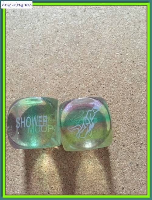 EROTIC ADULT SEX DICE GAME (LIKE NEW)