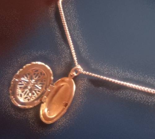 Stunning Gold locket and chain