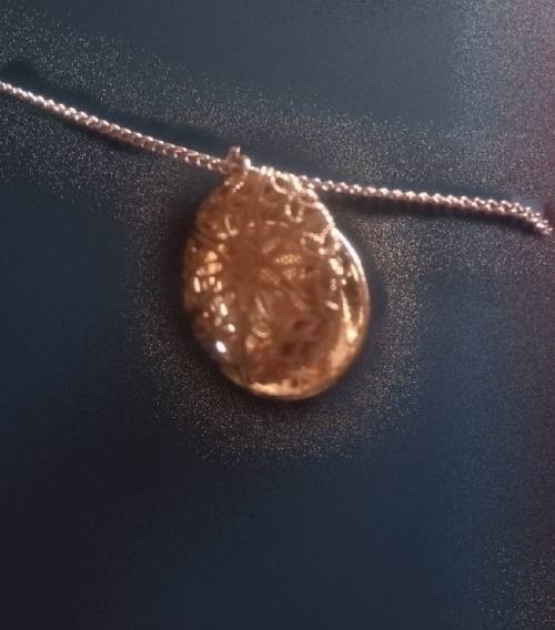 Stunning Gold locket and chain