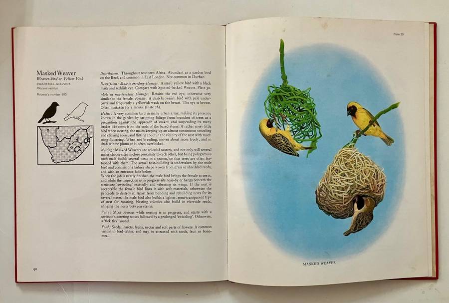 Garden Birds of South Africa - Kenneth Newman. Hardcover no dj, 1st Ed. 1967