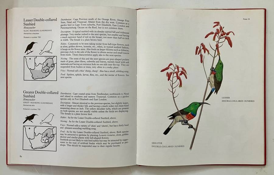 Garden Birds of South Africa - Kenneth Newman. Hardcover no dj, 1st Ed. 1967