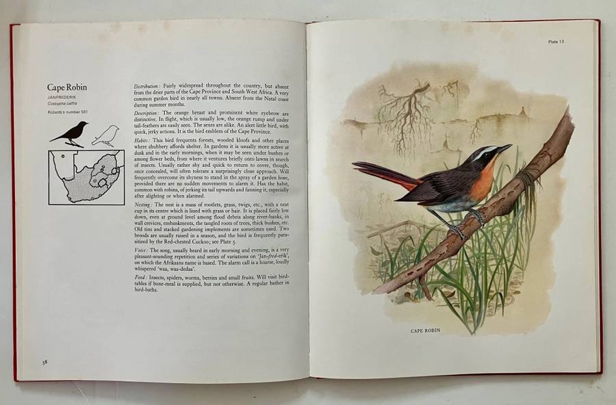 Garden Birds of South Africa - Kenneth Newman. Hardcover no dj, 1st Ed. 1967