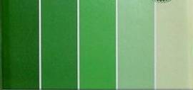 30cm x 30cm SHADES OF GREEN Cardstock (240 gsm) (5 Sheets per Pack)