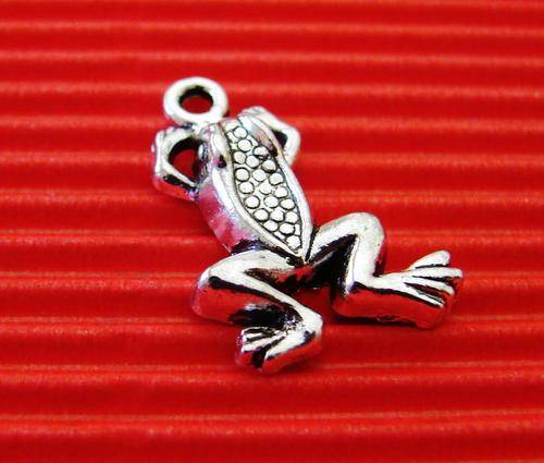 21mm Silvertone Frog Charm