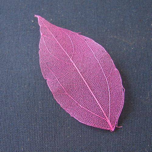 55mm x 30mm Shocking Pink Skeleton Leaves (Sold in Pack of 10 Leaves)