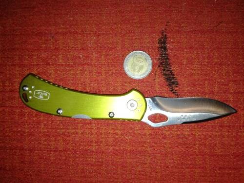 Buck Spitfire folder