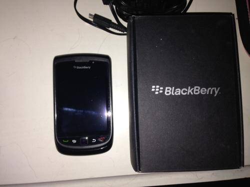 Blackberry Torch with Protective case