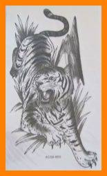 Tiger Temporary Tattoo