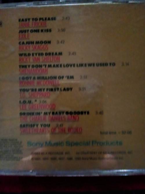Michael learns to Rock: Paint my love