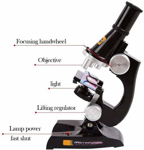 Refind Microscope (Kiddies Starter Pack)