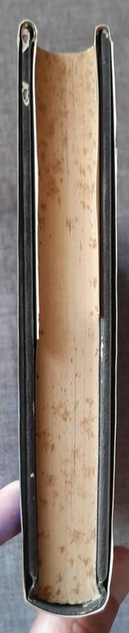 Brug van Esels - Dalene Matthee (1992 First edition Hardcover)