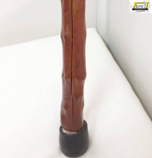 Walking Stick - Cane
