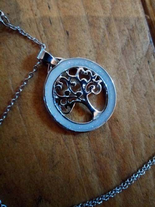 Beautiful Necklace and Pendant Set!