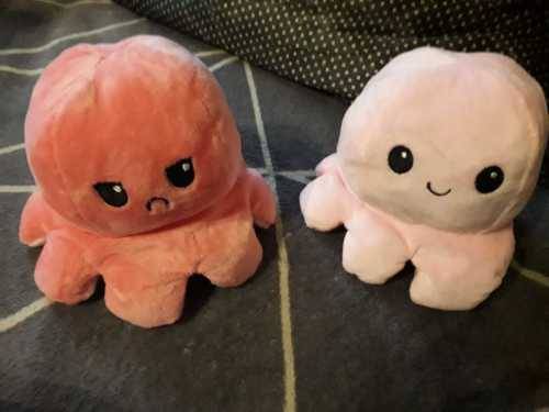 The Reversible Octopus Plushie