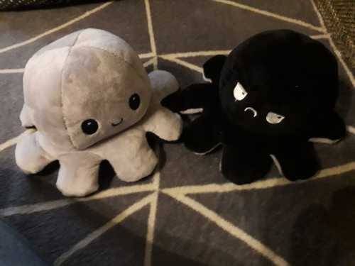 The Reversible Octopus Plushie