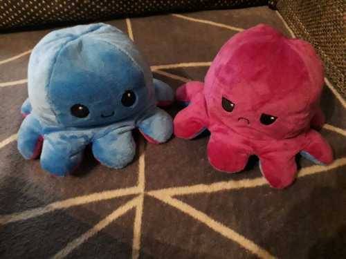 The Reversible Octopus Plushie