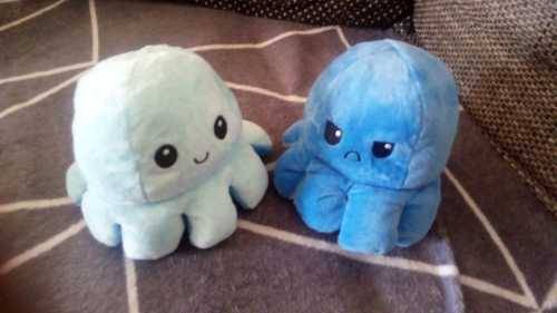 The Reversible Octopus Plushie