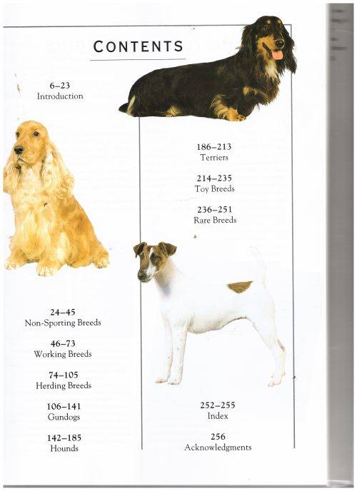 The Illustrated Encyclopedia of Dog Breeds -- Joan Palmer