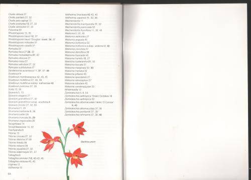 Grow Bulbs -- Graham Duncan